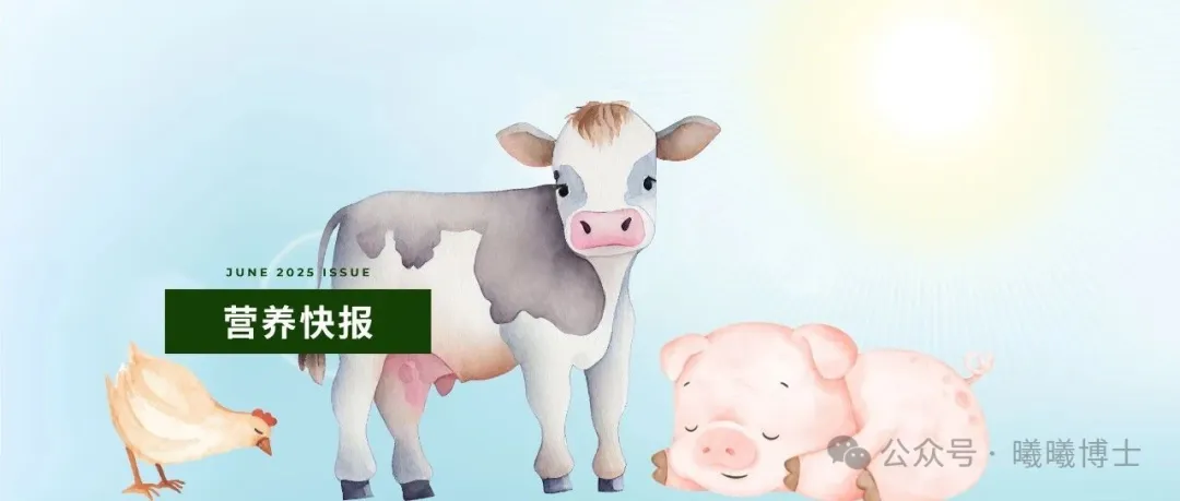 封面圖